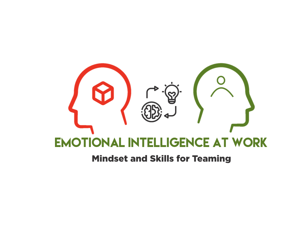 Emotional Intelligence at Work | Program for Organizations